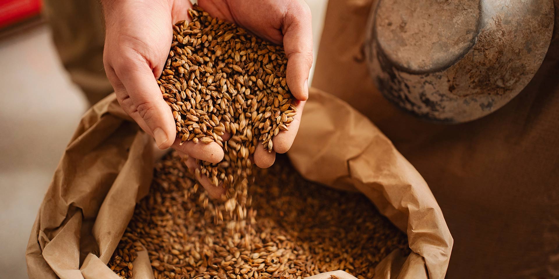 Holding grains in hands