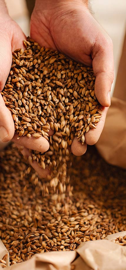 Holding grains in hands mobile