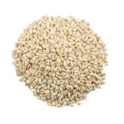 Sunrise pale 180x180